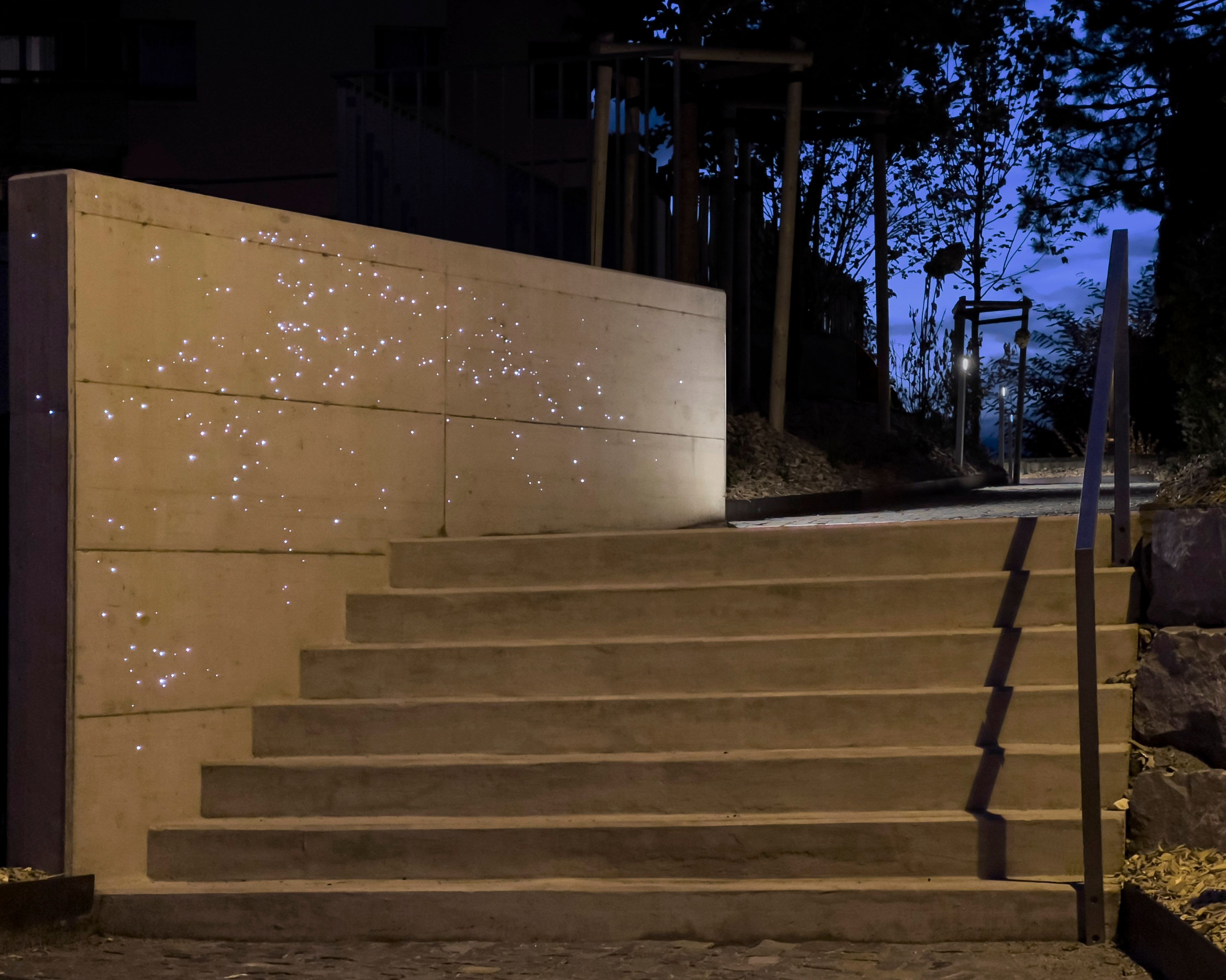 Cocarde _ img 1 H.jpg