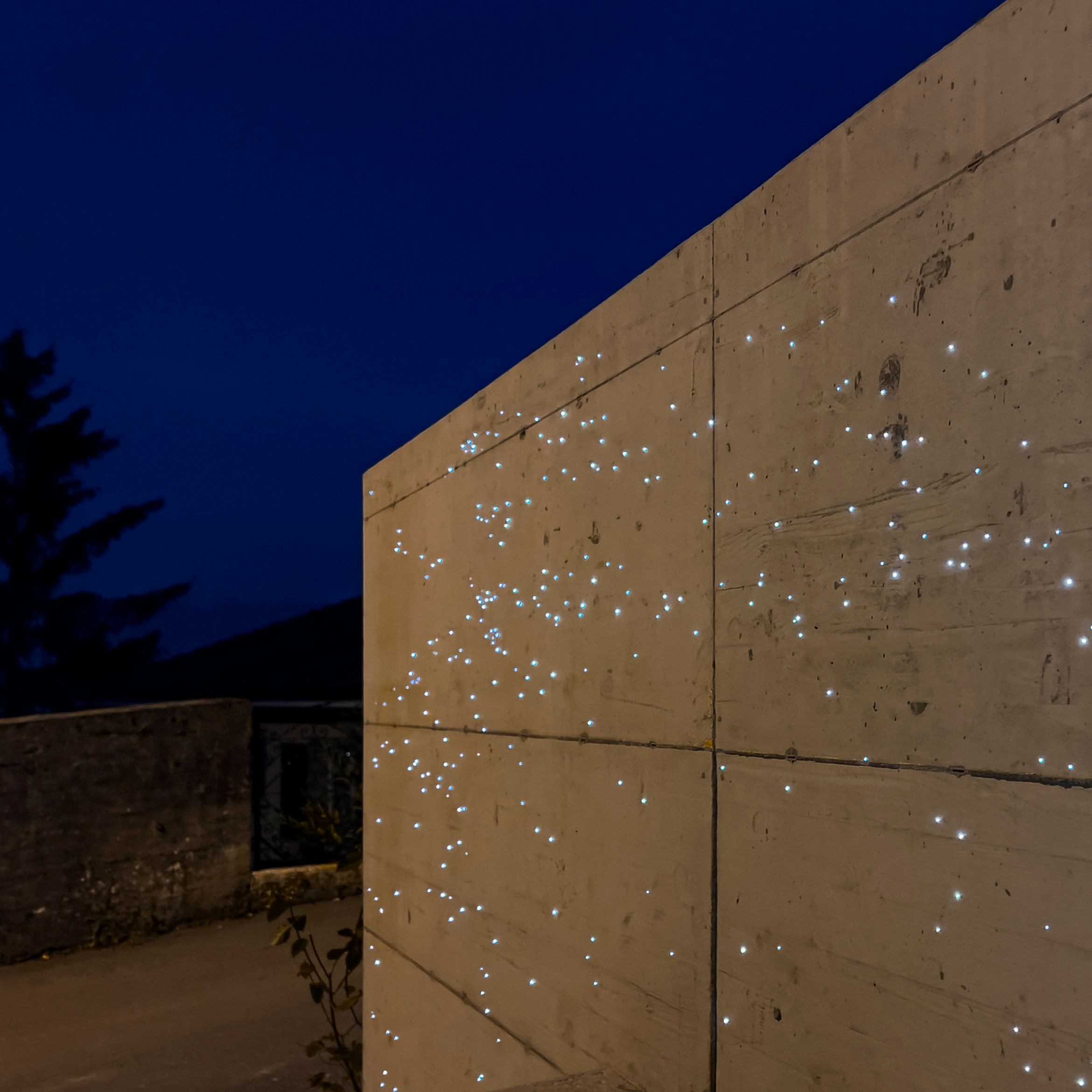 Cocarde _ img 2 C.jpg