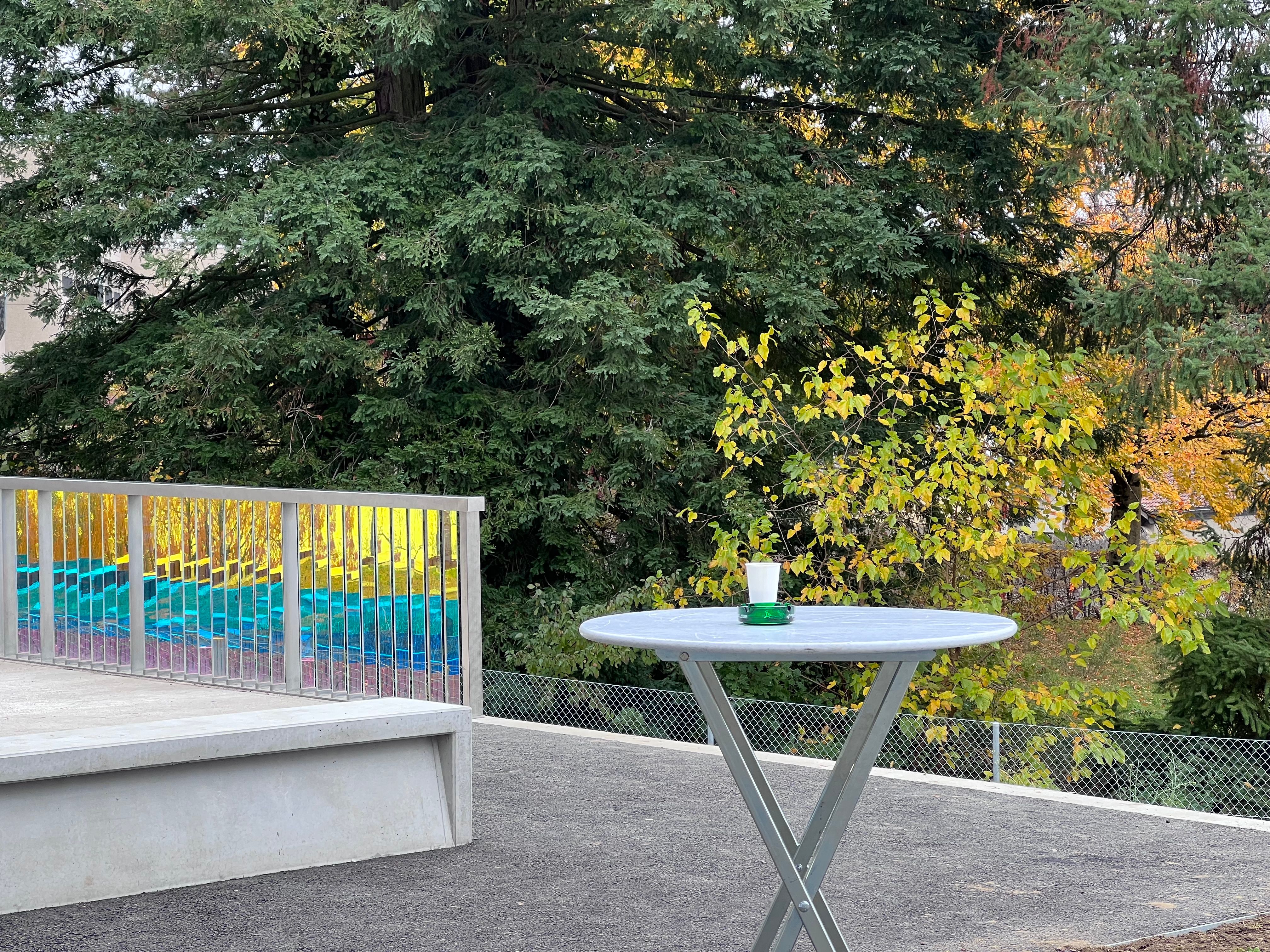 IMG_2684_as - copie.jpg